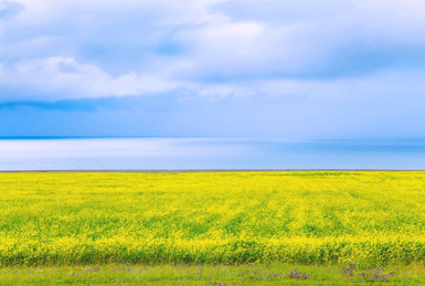 蘭州-西寧-青海湖二郎劍-茶卡鎮(zhèn)（510km，9H）