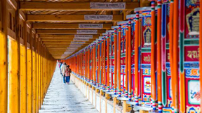 蘭州-拉卜楞寺-桑科草原-迭部