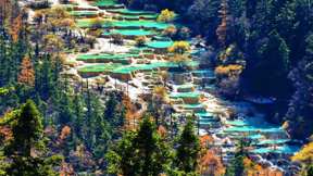 九寨溝→黃龍—川主寺