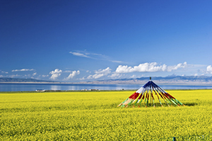 西北大環(huán)線_蘭州到張掖、嘉峪關、敦煌、茶卡、青海湖8日游